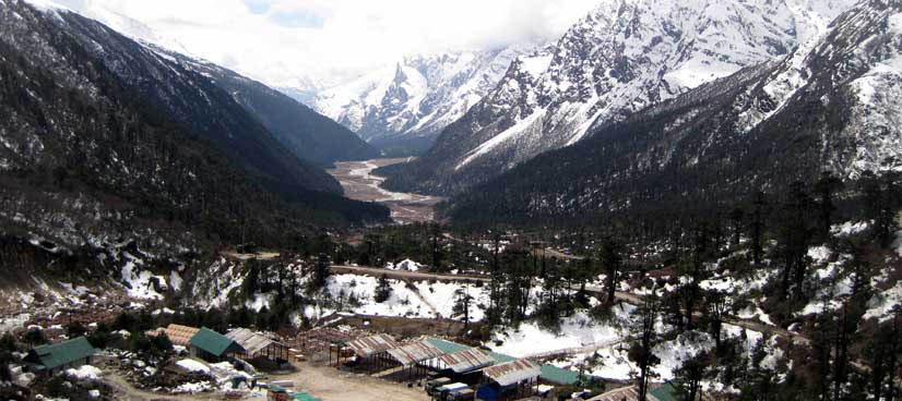 Yumthang Valley